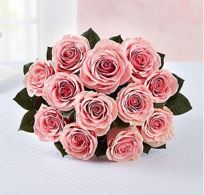 dozen pink roses sale