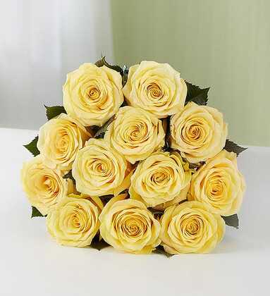 dozen yellow roses deal