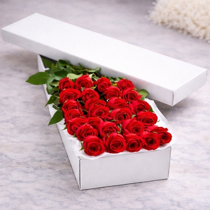 2 Dozen Premium Red Roses in a Box