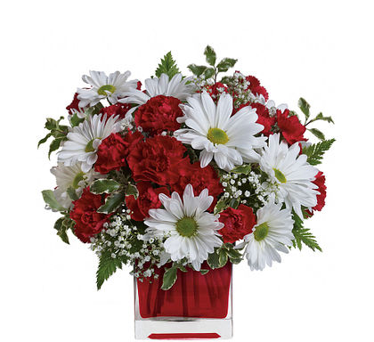 Red And White Delight by Teleflora
