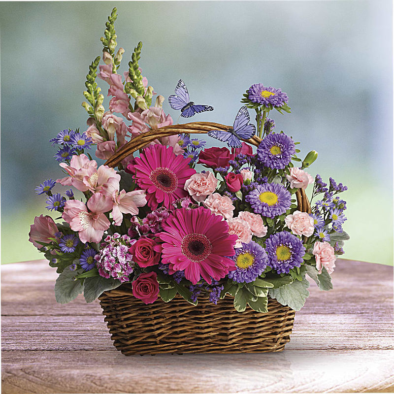 Country Basket Blooms a3389 Online Gift Delivery