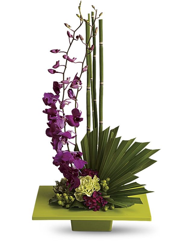 Zen Artistry a3392 | Flower Delivery | Flower Shop