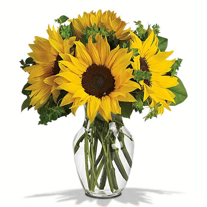 Sunny Sunflowers