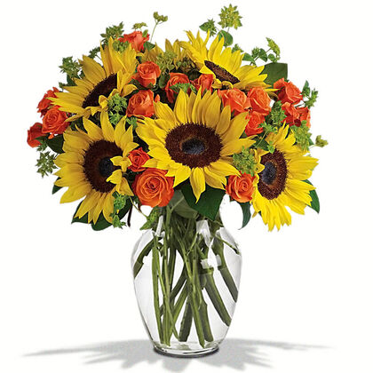 Sunny Sunflowers