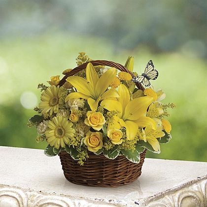 Basket Full of Wishes