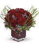 10 Stems Rose