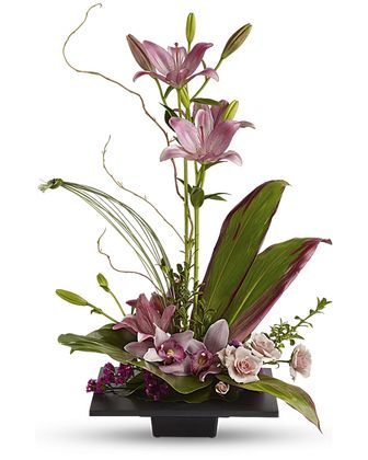Imagination Blooms with Cymbidium Orchids