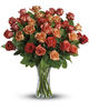 36 Premium Roses