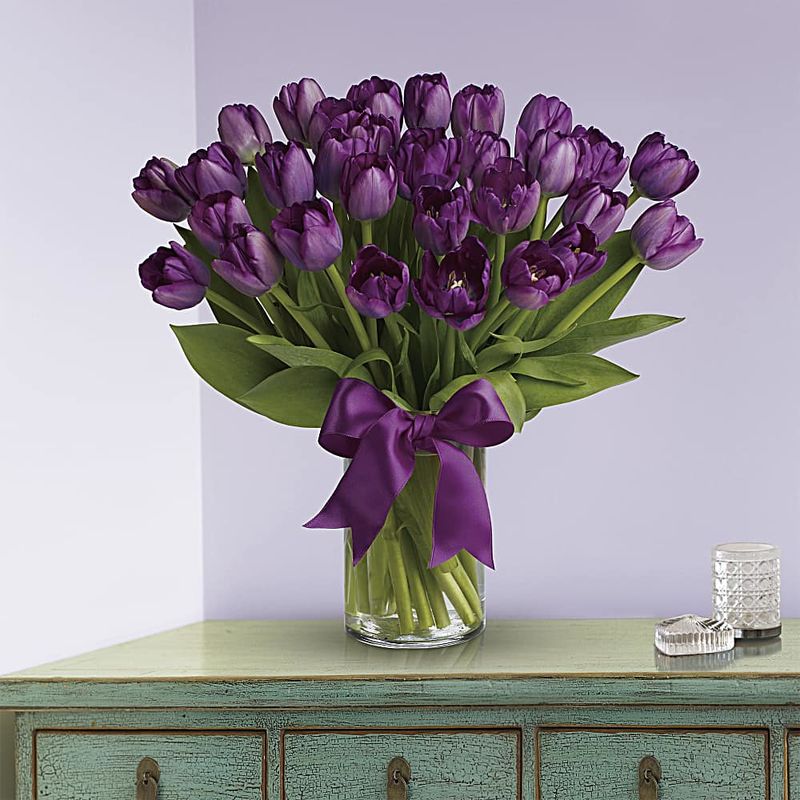Passionate Purple Tulips a3710 Flower Delivery Flower Shop