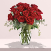 16 Long Stem Red Roses