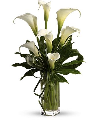 My Fair Lady by Teleflora