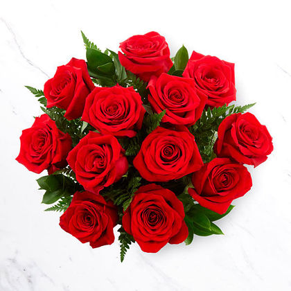 red dozen roses sale