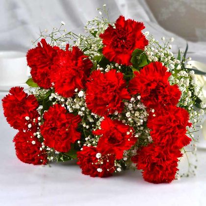 Send Red Carnation Bouquet With Baby's Breath