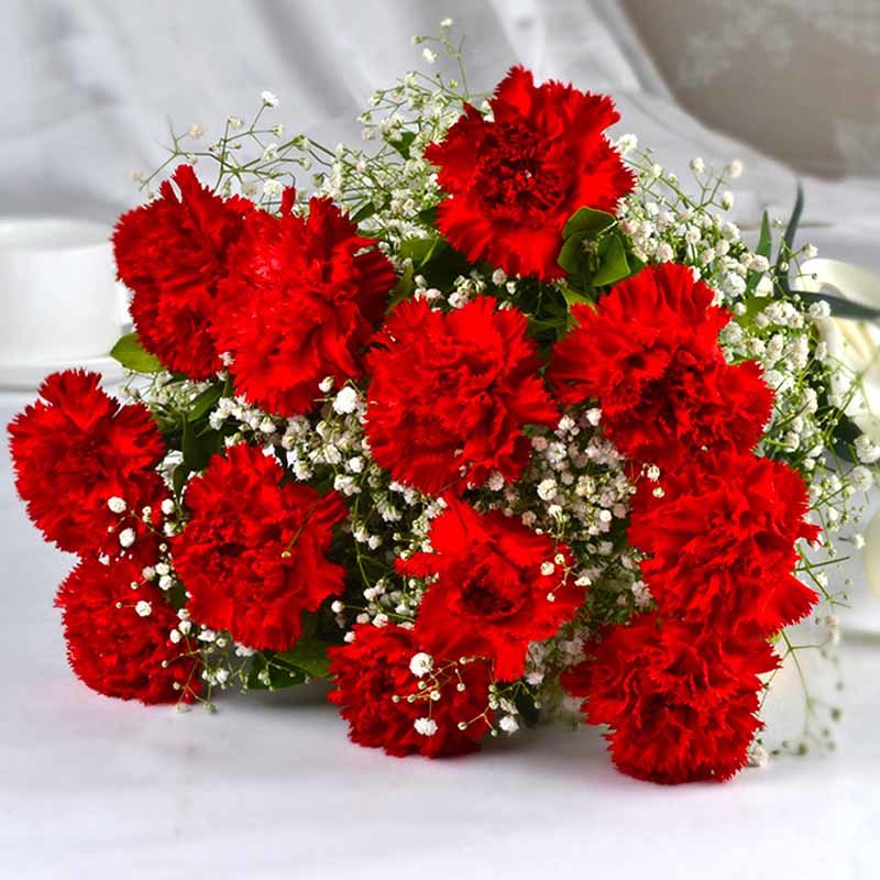 Send Red Carnation Bouquet With Baby's Breath a3986 | Flower Delivery ...