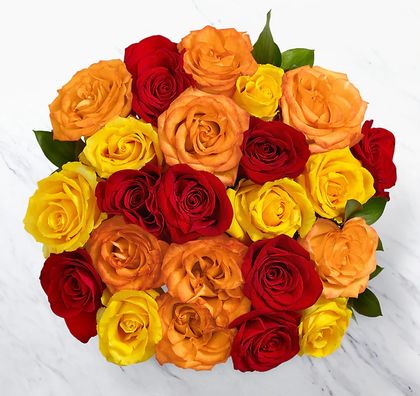 12 Autumn Color Mix Roses