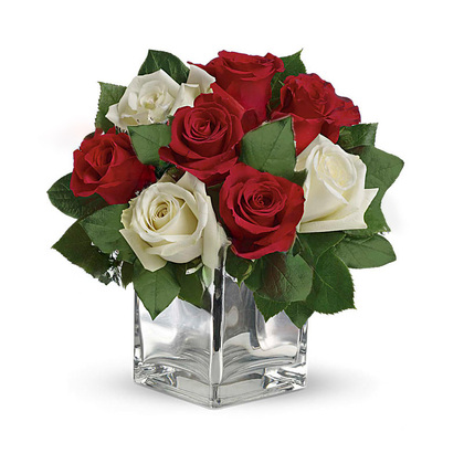 Snowy Night Red and White Roses by Teleflora