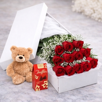 True Love Dozen Premium Red Roses with Baby's Breath Package