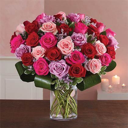 pink roses