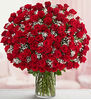100 Red Roses in a Vase With Baby's Breath