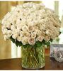 100 White Roses In a Vase