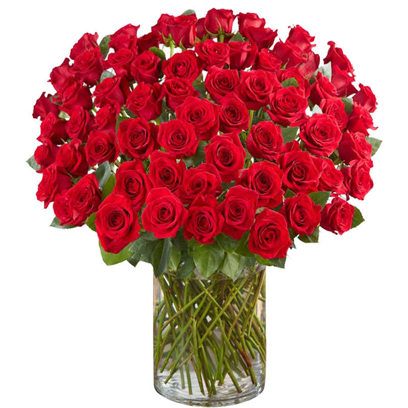 100 Premium Red Roses in a Vase a5047 Flower Delivery Flower Shop