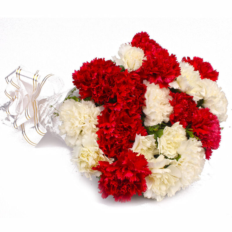 Red And White Carnations Bouquet A5051 Flower Delivery Flower Shop