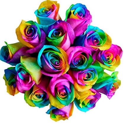 Happy Birthday Rainbow Roses
