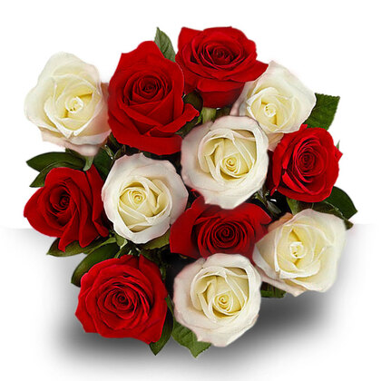 dozen red wite roses deal