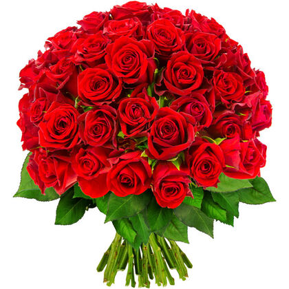 50 red roses best deal