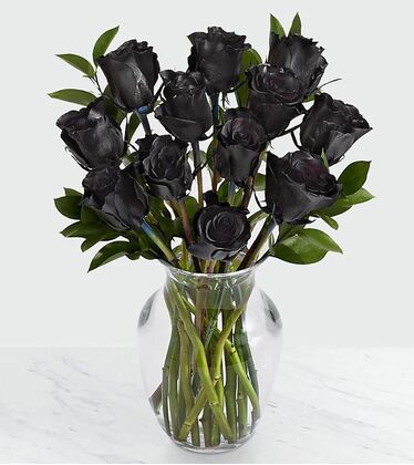 Black Premium Roses