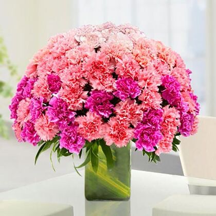 100 Mix Color Carnations in A Vase