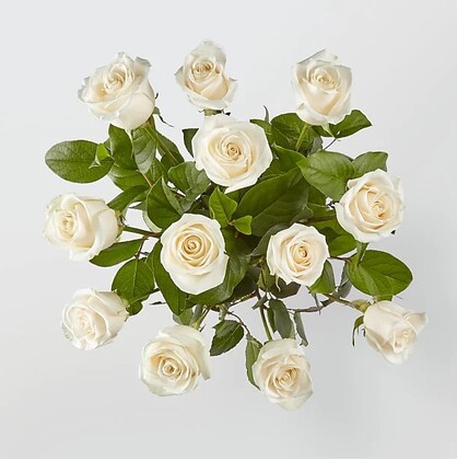 White Roses Bouquet