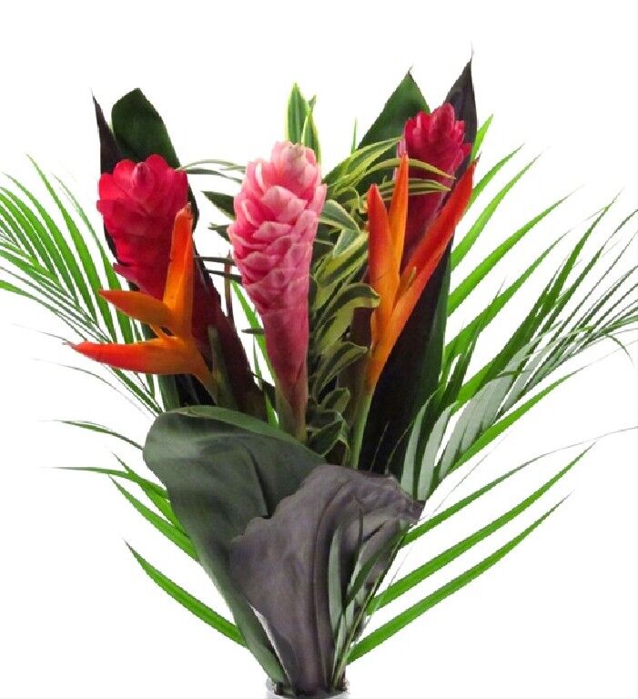 Tropical Flower Bouquet a7077 Flower Delivery Flower Shop