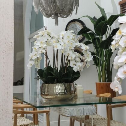 Glorious Phalaenopsis Orchid Centerpiece