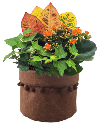 Terra Planter