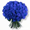 50 Blue Roses