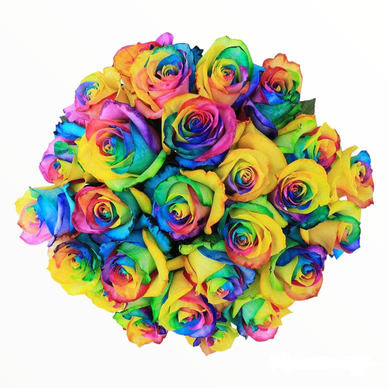 24 Rainbow Roses Bouquet a9034 | Flower Delivery | Flower Shop