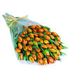 100 Orange Tulips