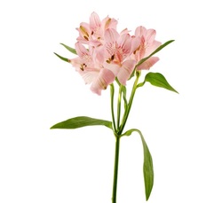a9264