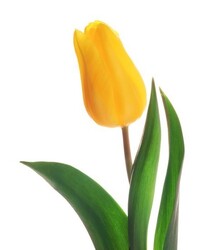a9274