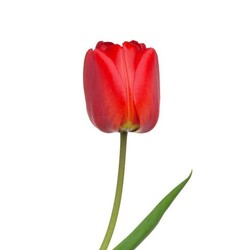 a9275