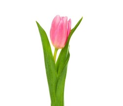 a9277