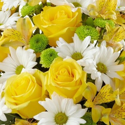 Sunny Roses and Daisies Flower Bouquet