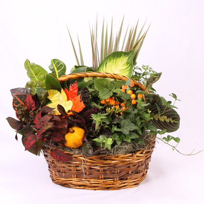 Fall Blooming Planter Basket