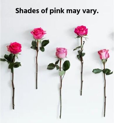 50 Pink Roses Bouquet