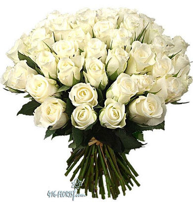 50 white roses best price