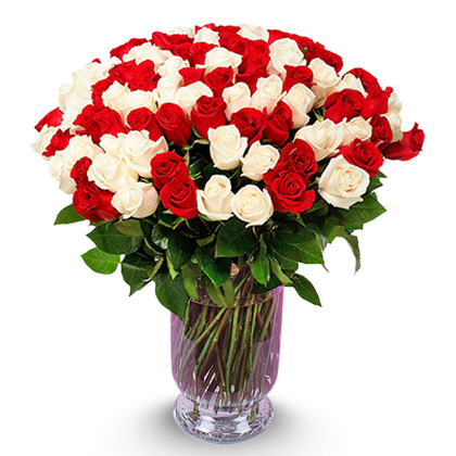 100 Red and White Roses in a Vase