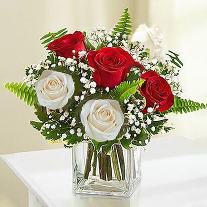 Simply Enchanting Red and White Roses