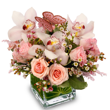 Sweet Orchids Dancing Roses