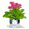 In Red Lips Lady Planter. Colors may vary.